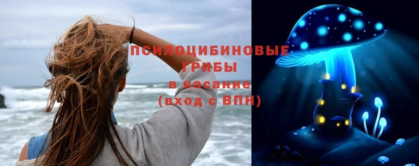 эйфоретик Новокубанск