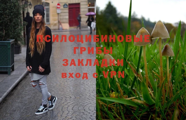 мдма Новодвинск