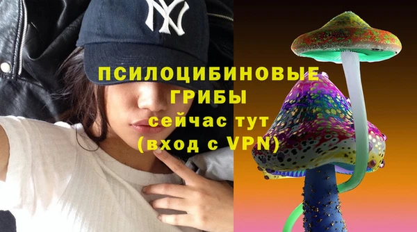 мдма Новодвинск