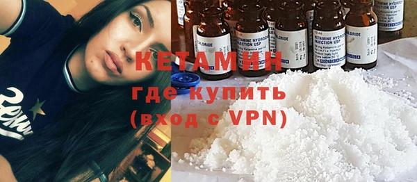 стафф Новозыбков