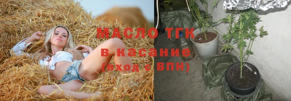 стафф Новозыбков