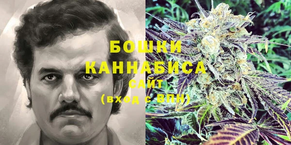эйфоретик Новокубанск