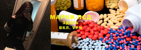стафф Новозыбков