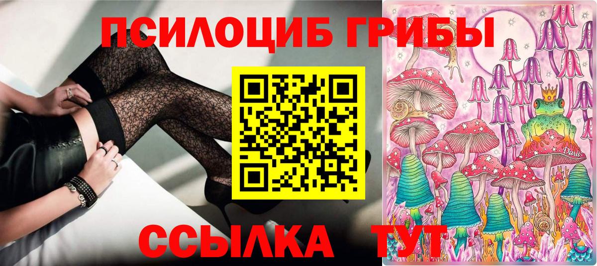 Новоуральск  Псилоцибиновые грибы Psilocybe  купить наркоту  Вход с VPN 