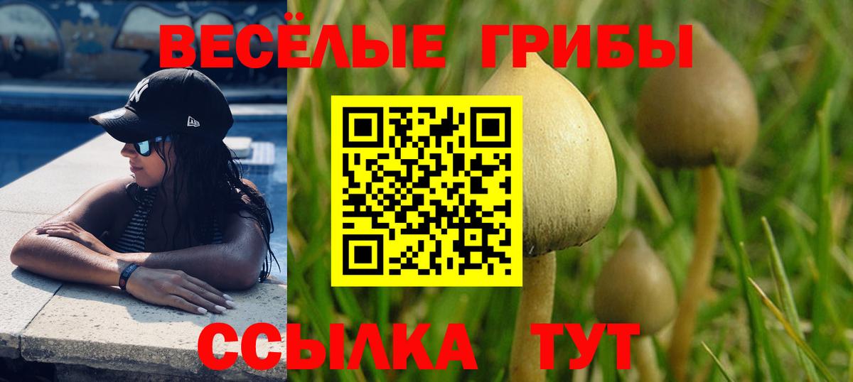 Галлюциногенные грибы мухоморы Новоуральск